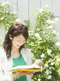 別れさせ、離婚させ